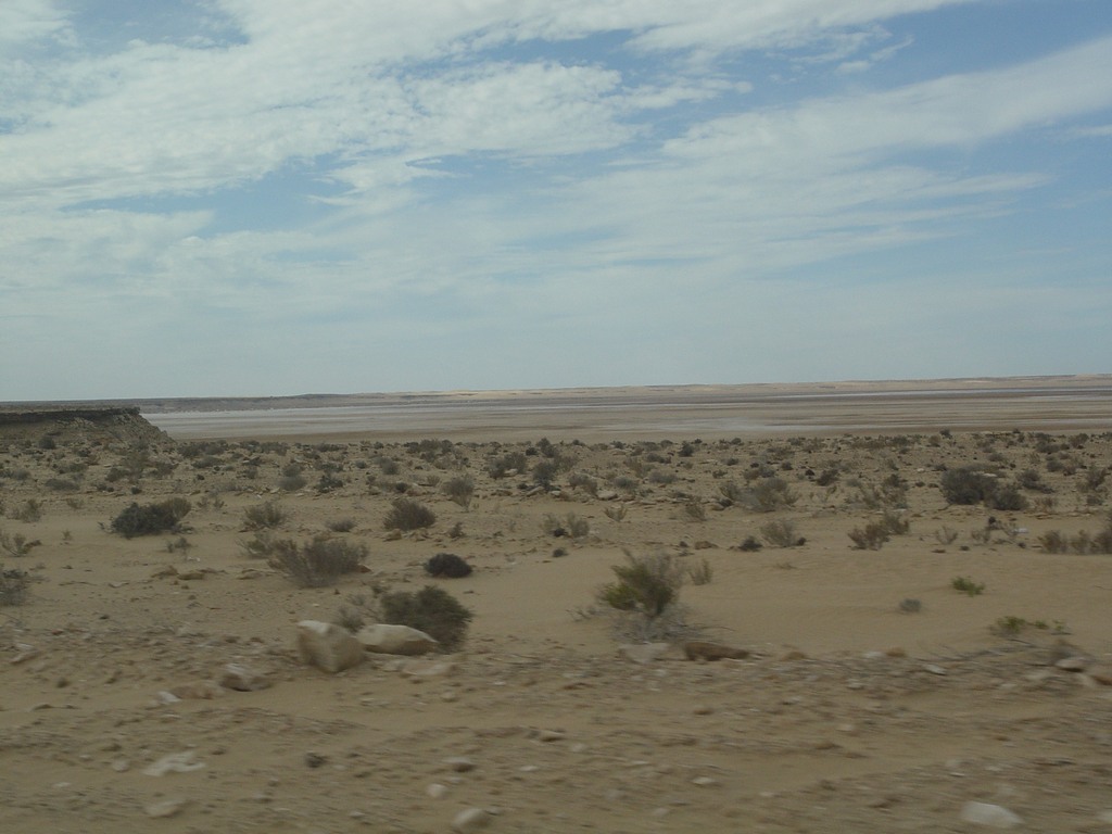 dsc03944.jpg