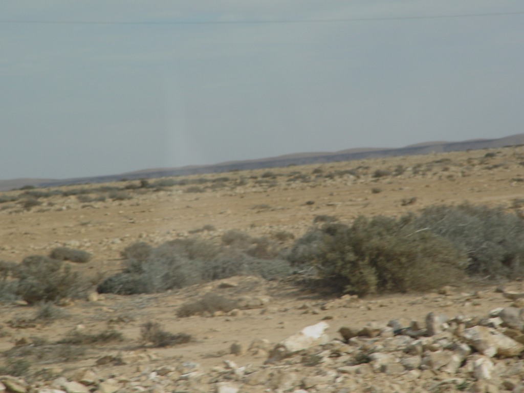 dsc03952.jpg