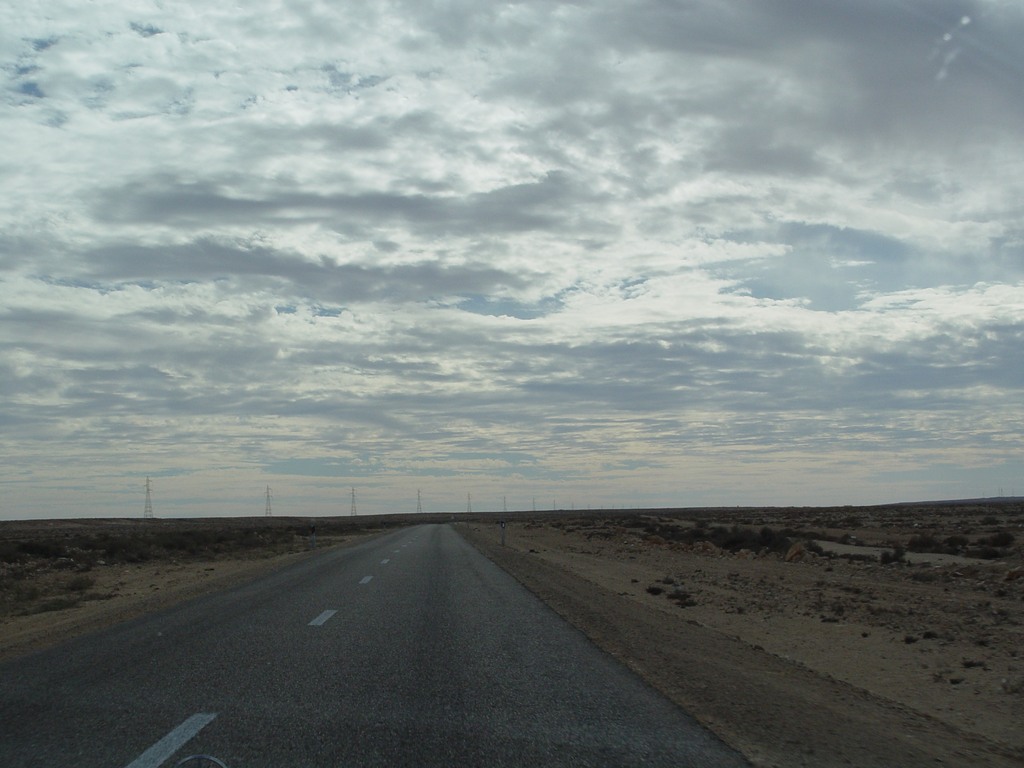 dsc03955.jpg
