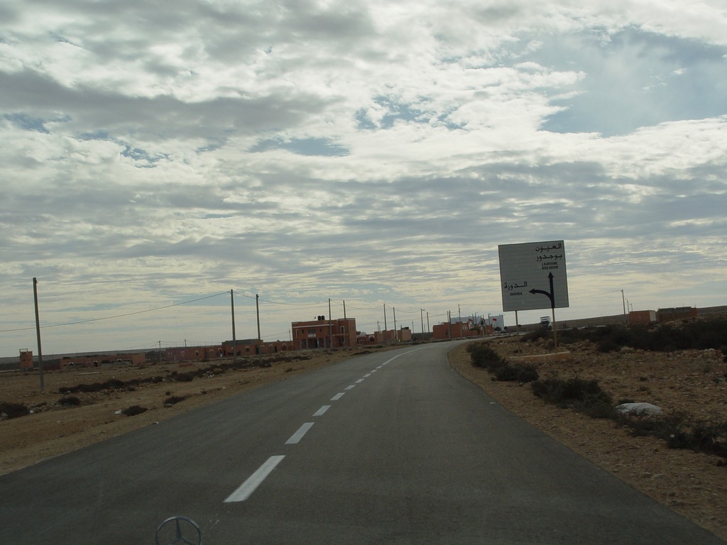 dsc03956.jpg