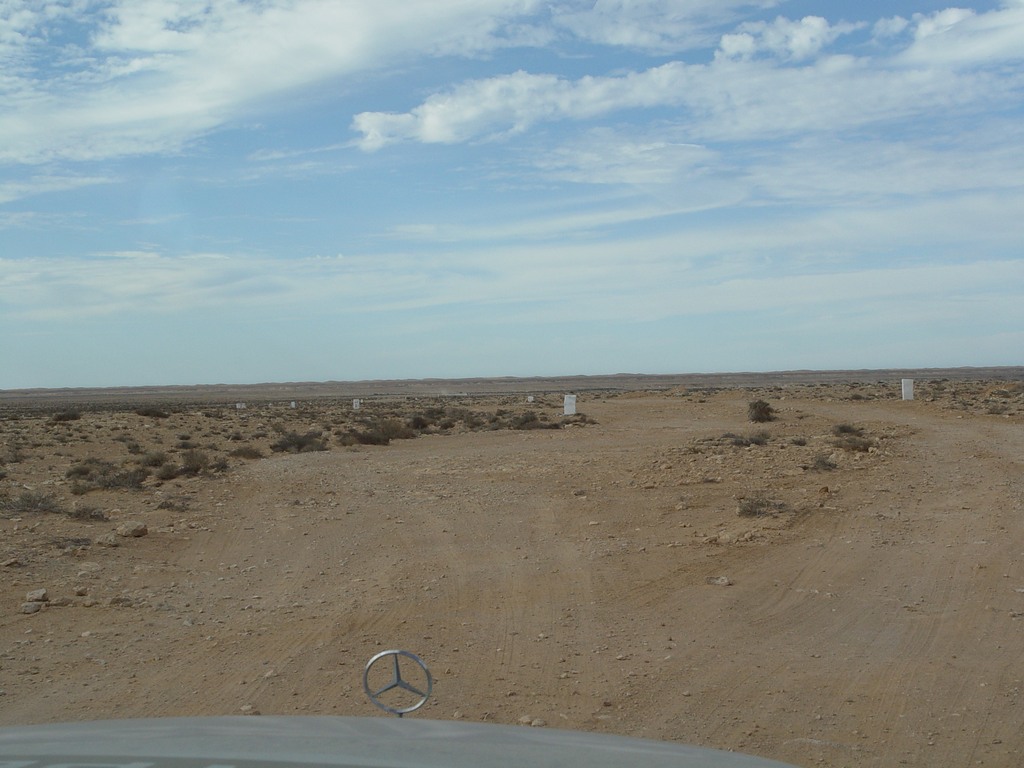 dsc03959.jpg