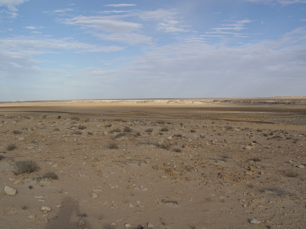 dsc04000.jpg
