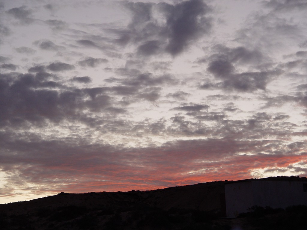 dsc04018.jpg