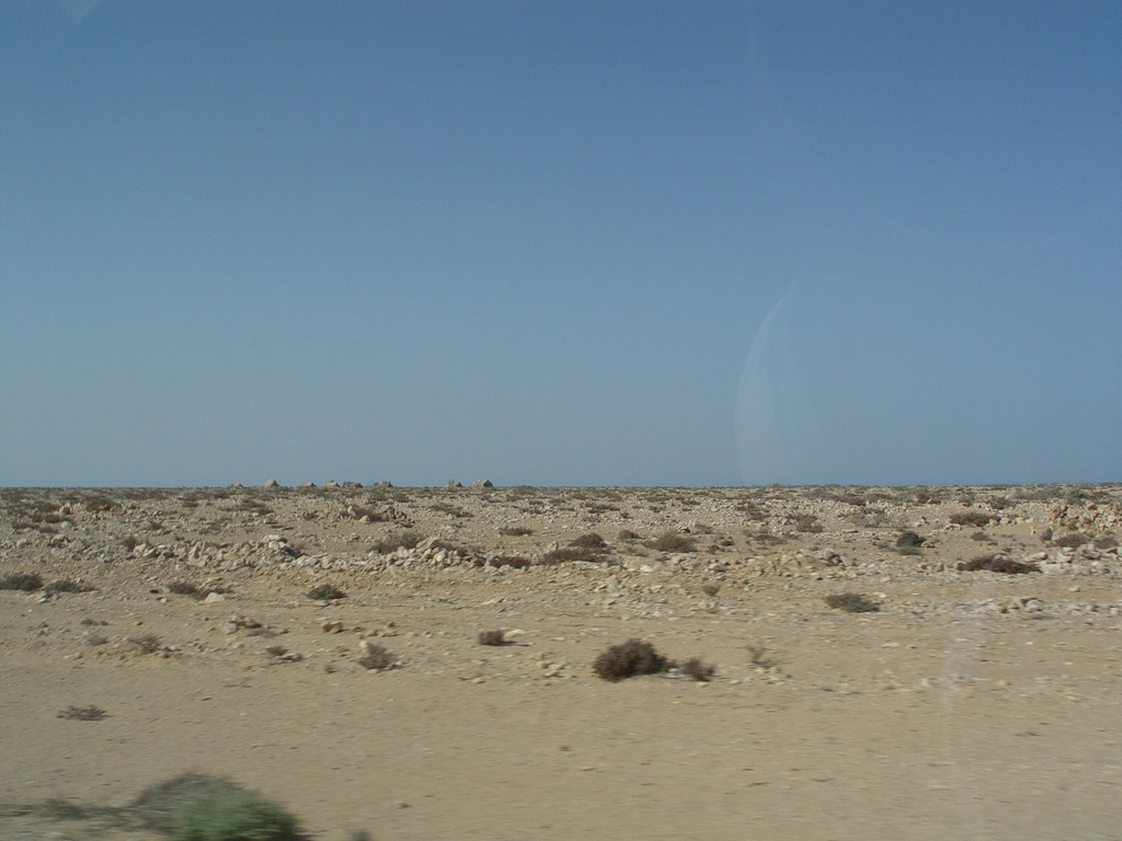 dsc04076.jpg