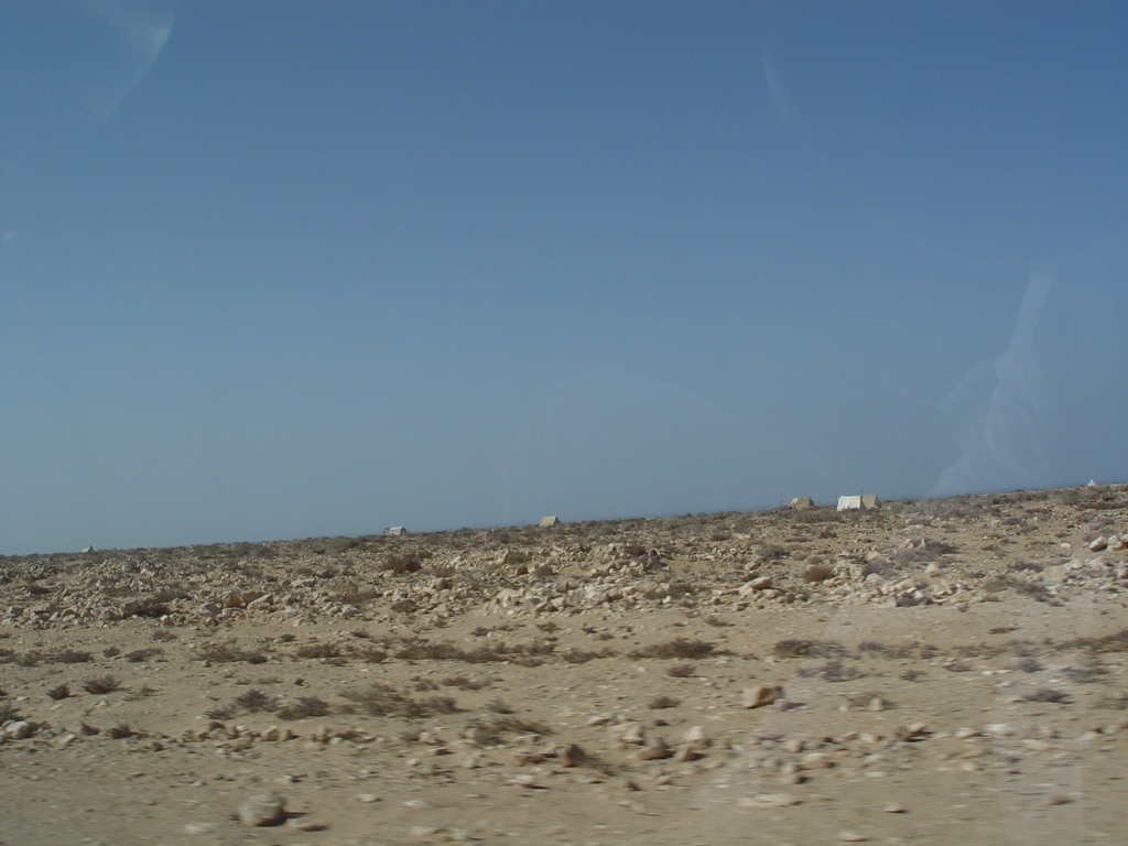 dsc04080.jpg