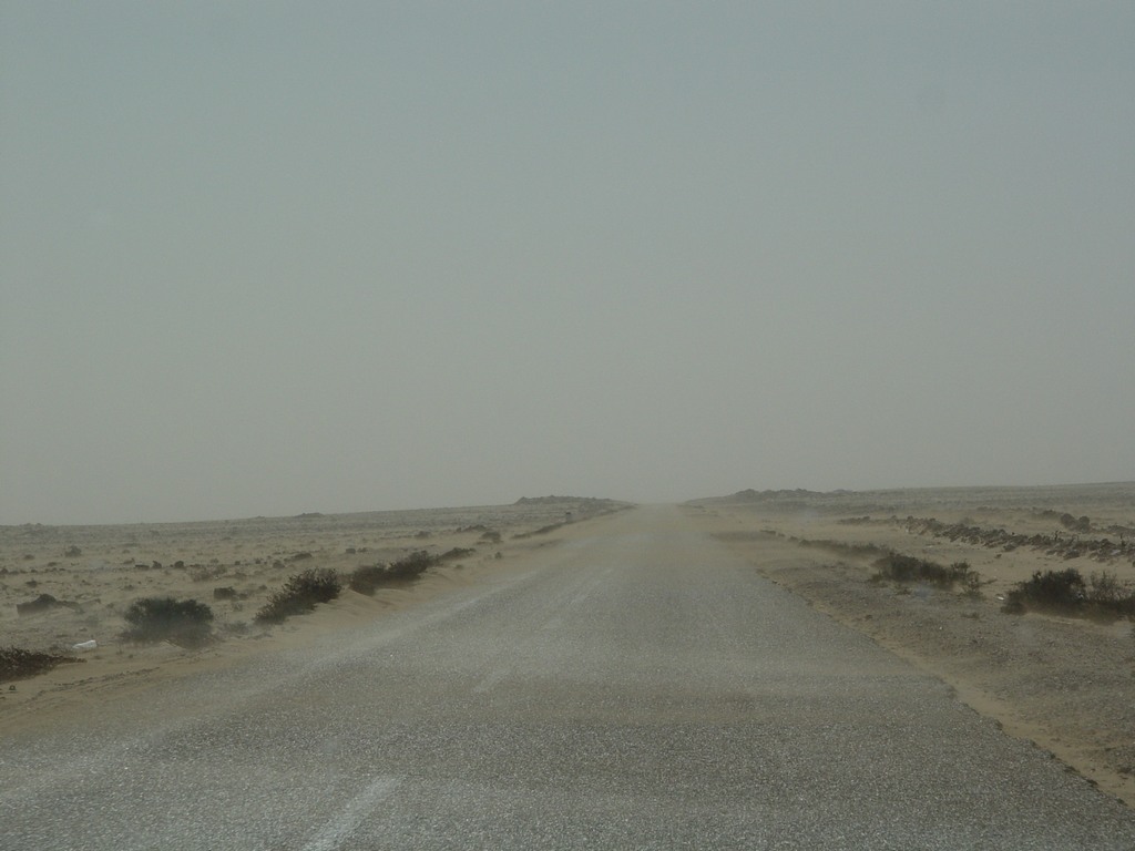 dsc04094.jpg