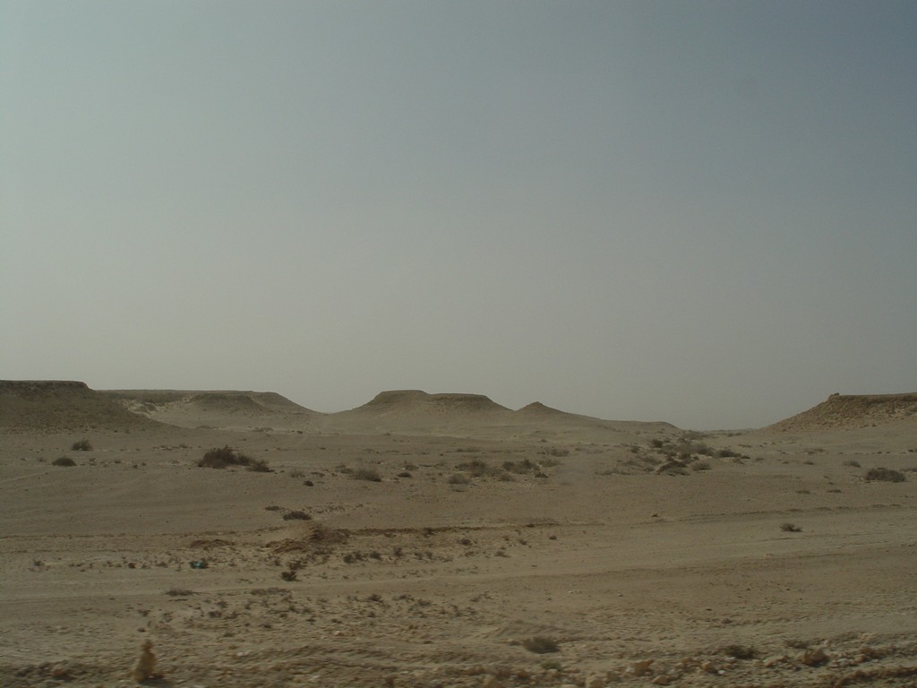 dsc04103.jpg