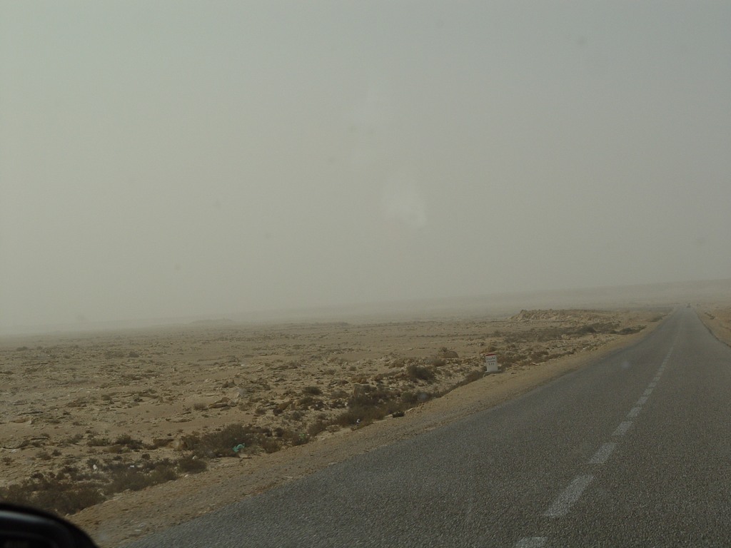 dsc04107.jpg
