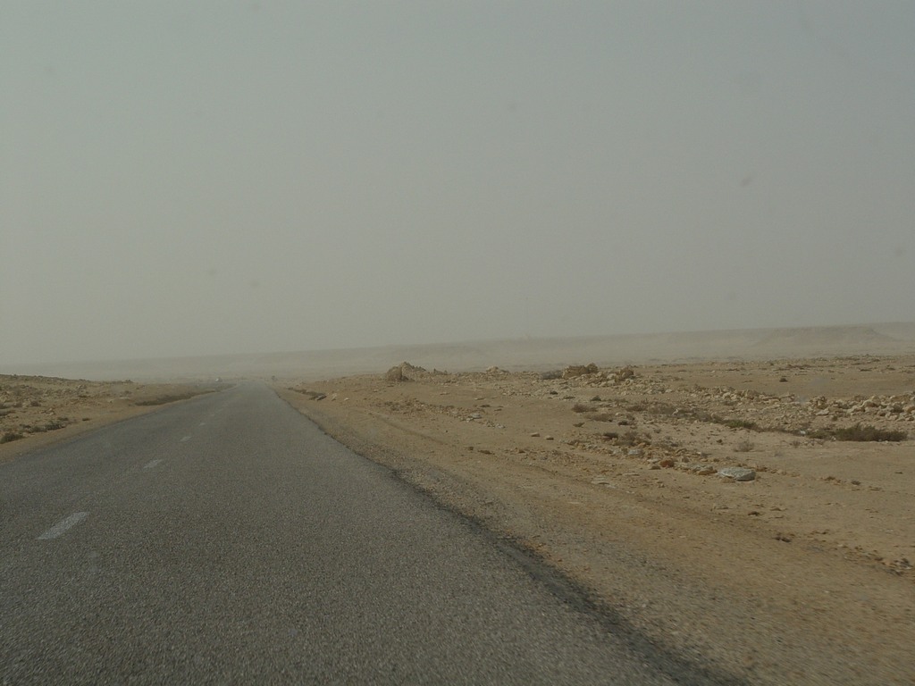 dsc04108.jpg