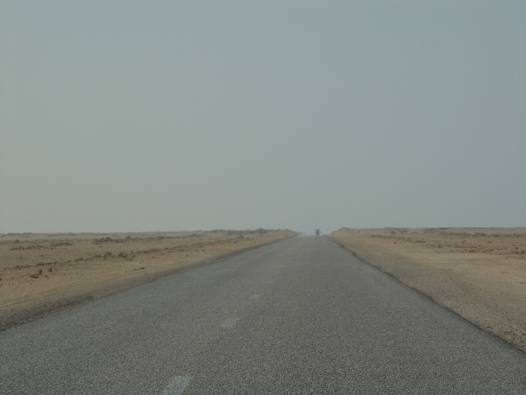 dsc04110.jpg