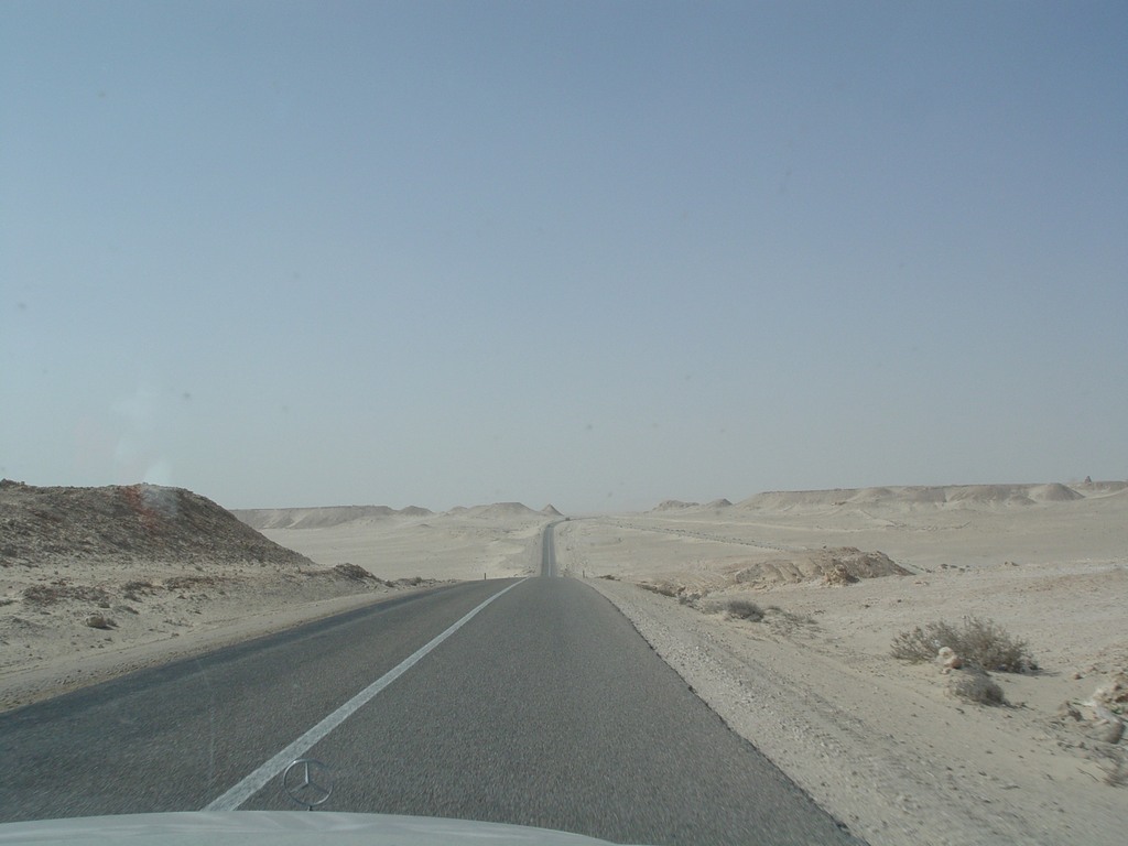 dsc04116.jpg