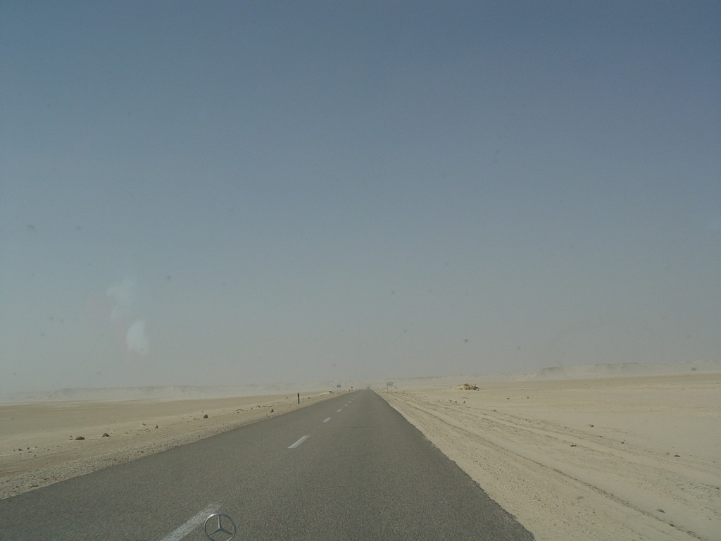 dsc04123.jpg