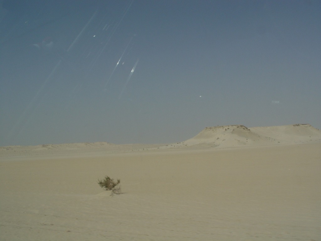 dsc04125.jpg