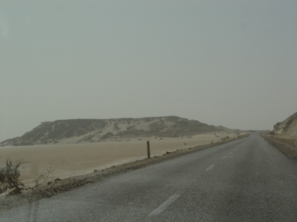 dsc04131.jpg