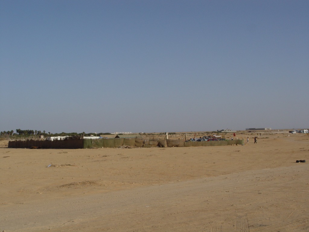 dsc04142.jpg