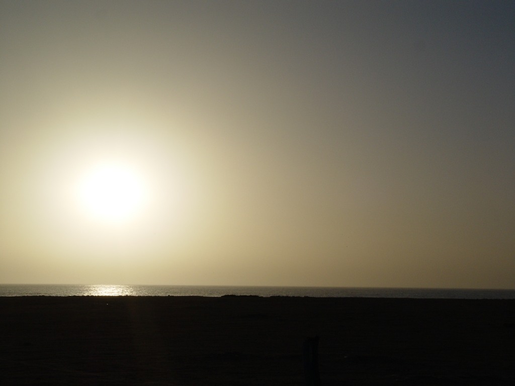dsc04146.jpg