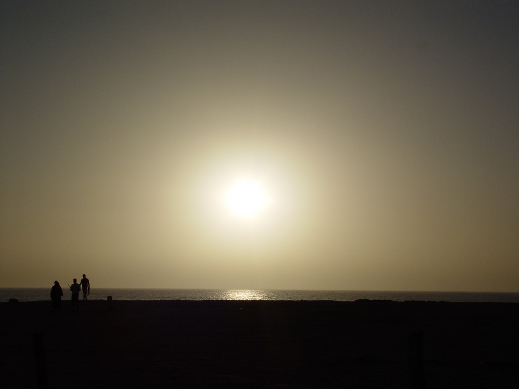 dsc04147.jpg