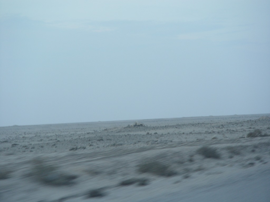dsc04178.jpg