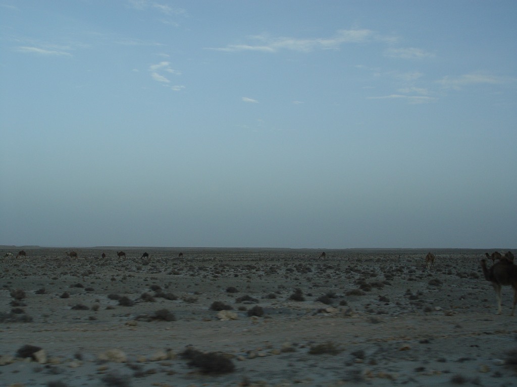dsc04210.jpg