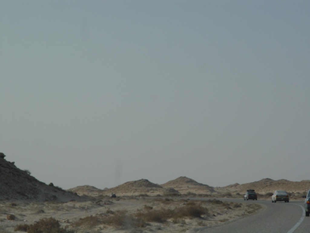 dsc04224.jpg