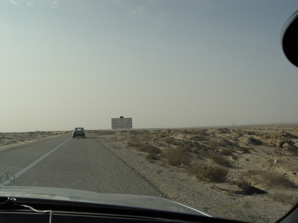 dsc04230.jpg