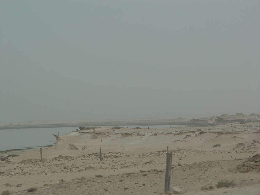 dsc04253.jpg