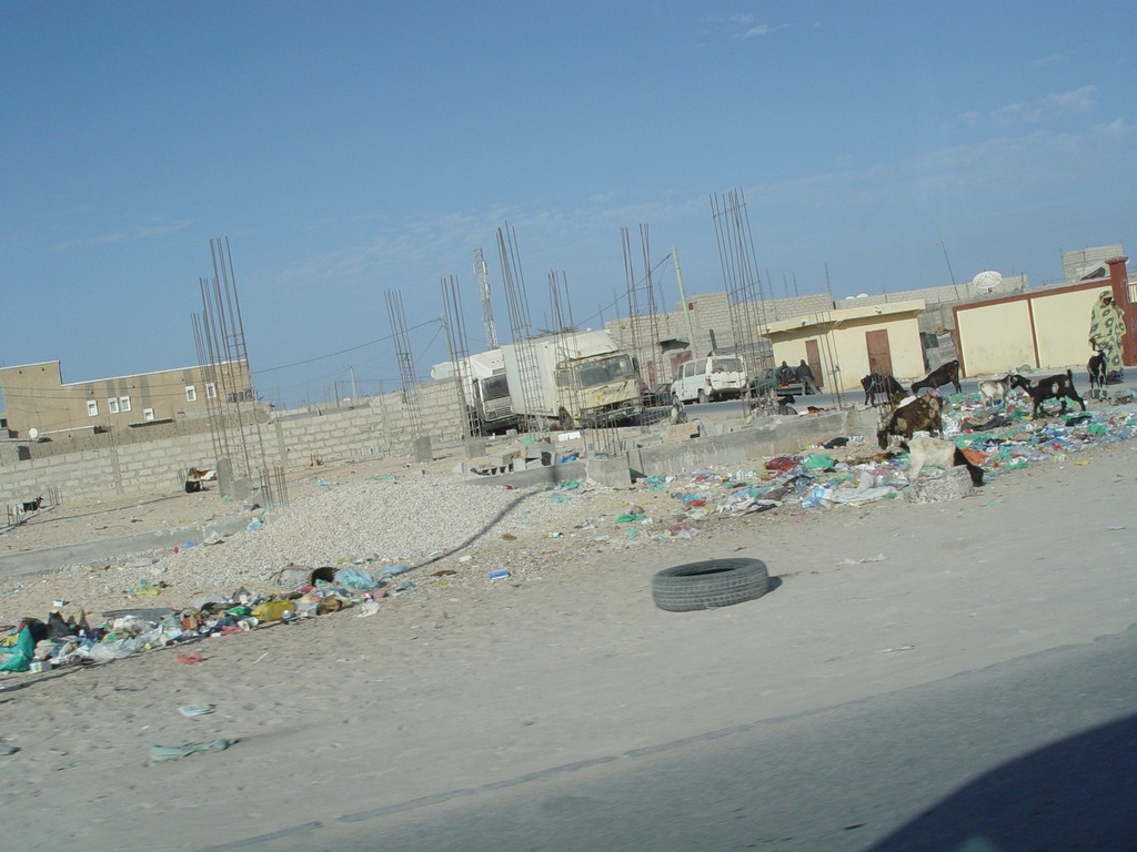 dsc04282.jpg