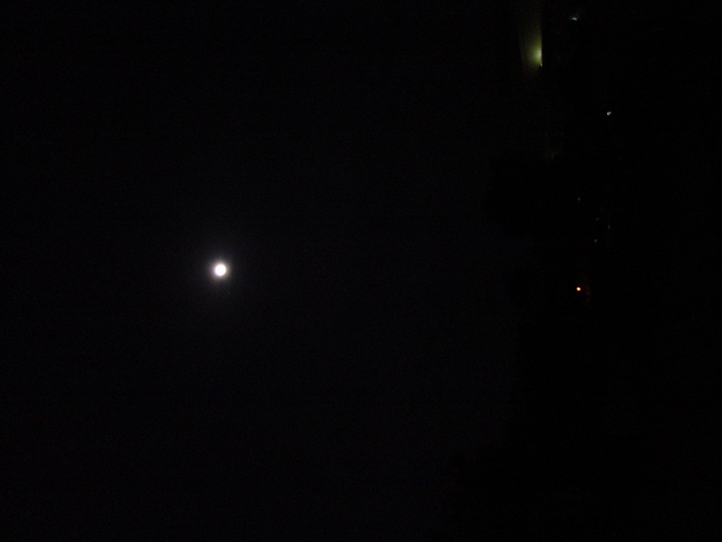 dsc04364.jpg