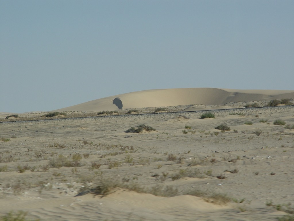 dsc04384.jpg