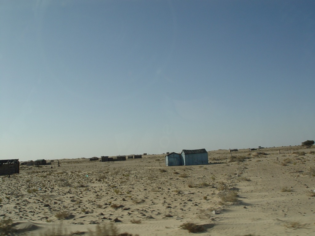 dsc04385.jpg