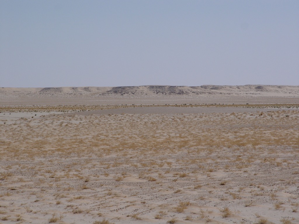 dsc04446.jpg