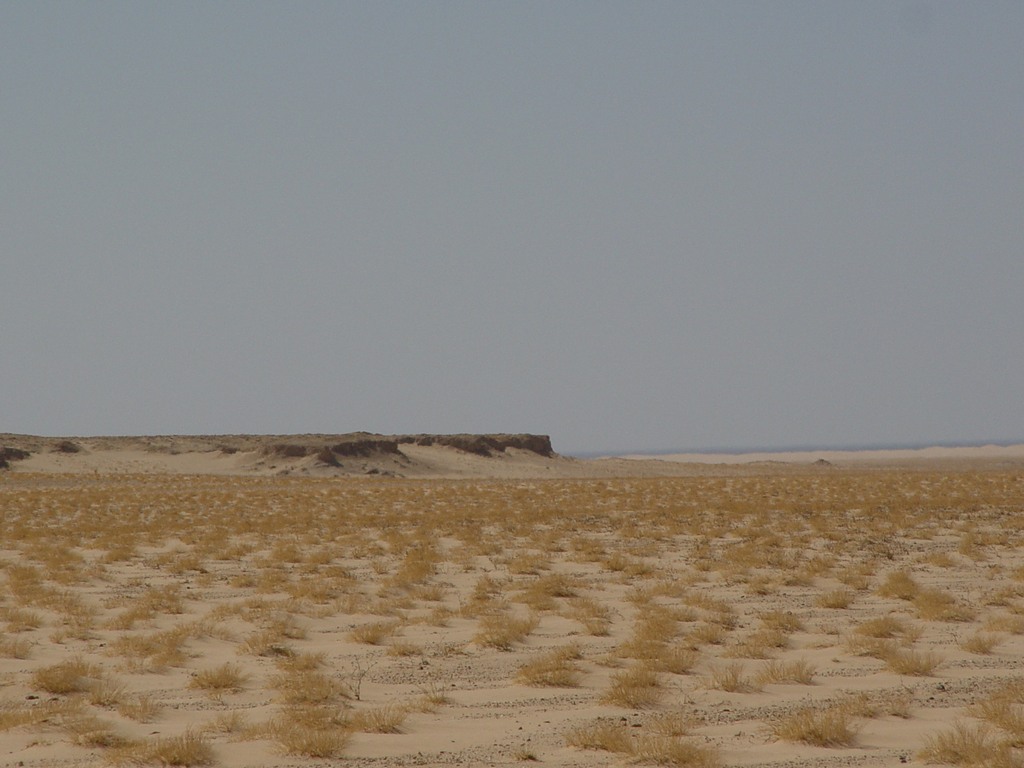 dsc04452.jpg
