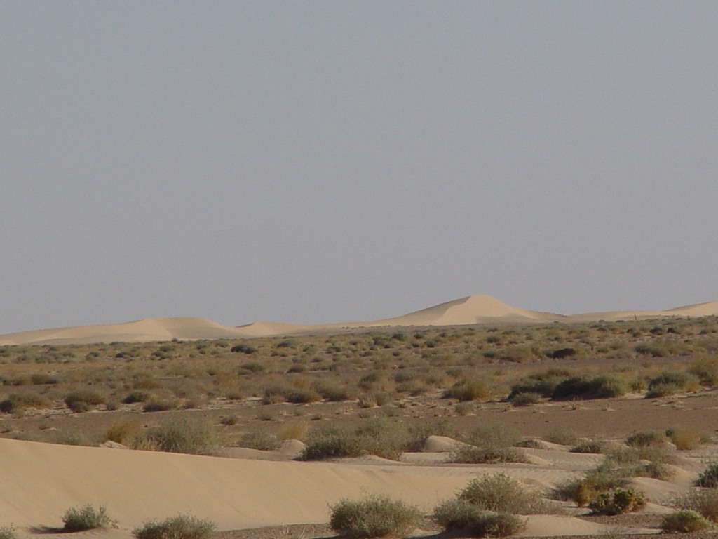 dsc04461.jpg