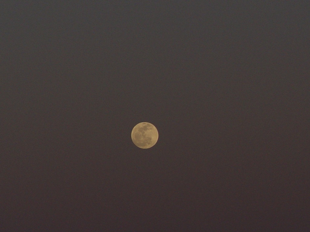 dsc04495.jpg