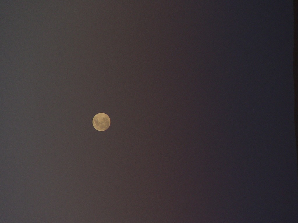 dsc04496.jpg
