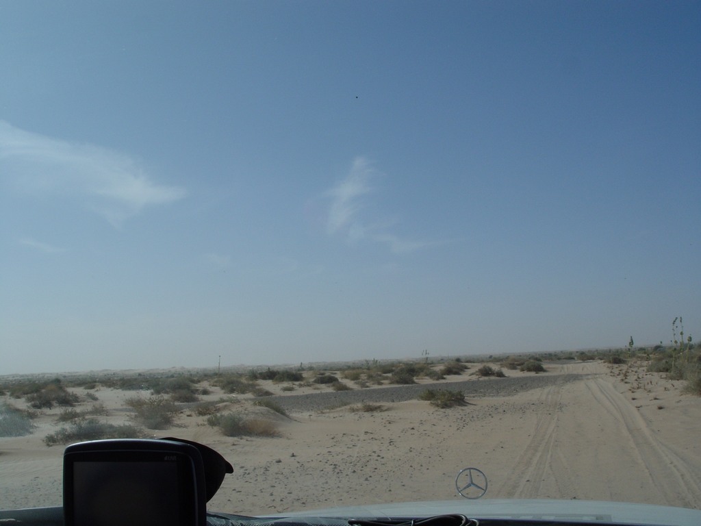 dsc04526.jpg