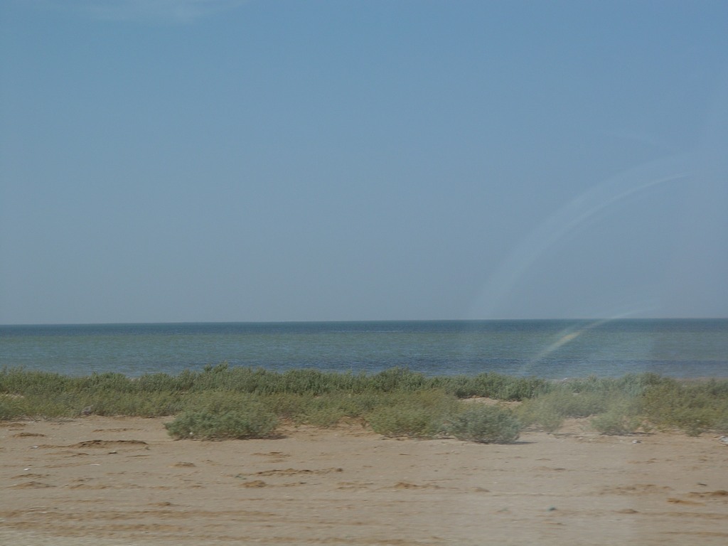 dsc04544.jpg