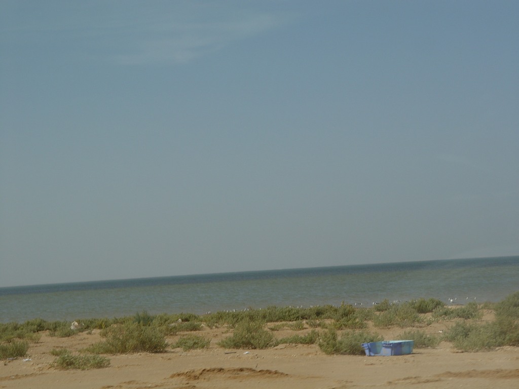 dsc04545.jpg
