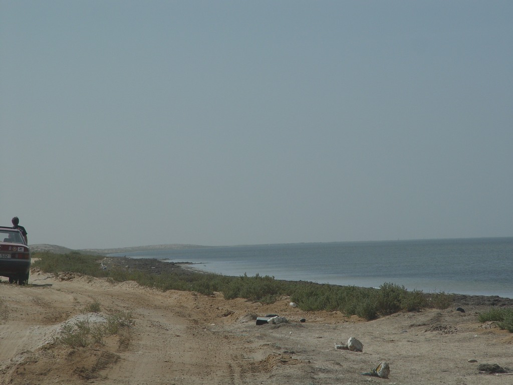 dsc04548.jpg