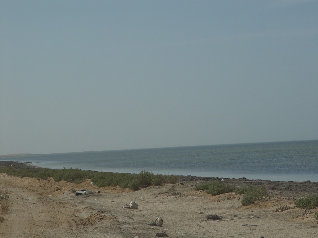 dsc04550.jpg
