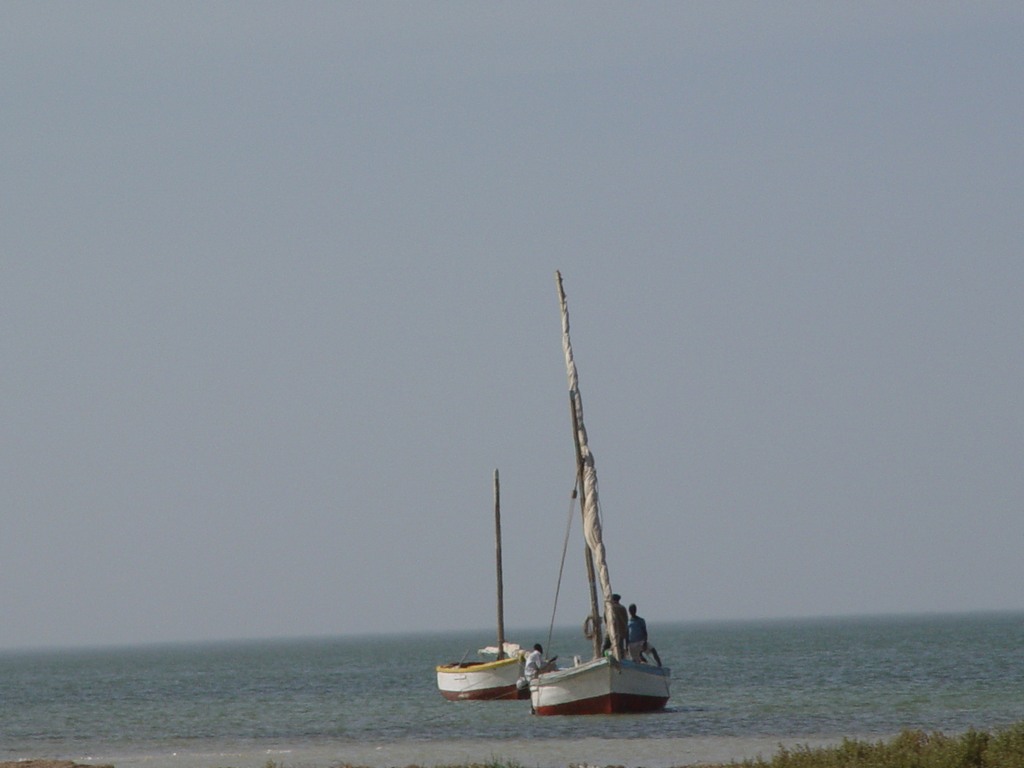 dsc04556.jpg