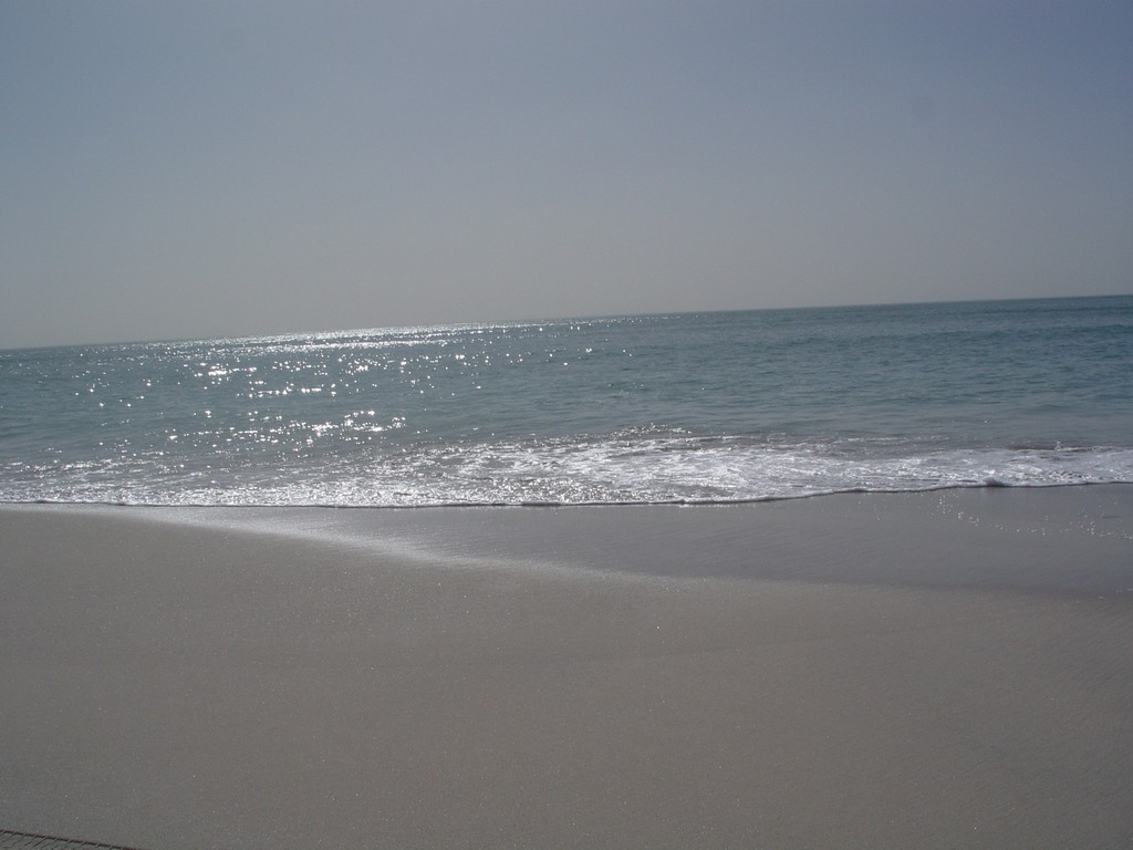 dsc04575.jpg
