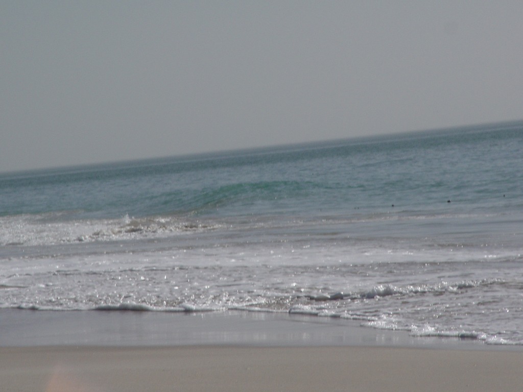 dsc04590.jpg