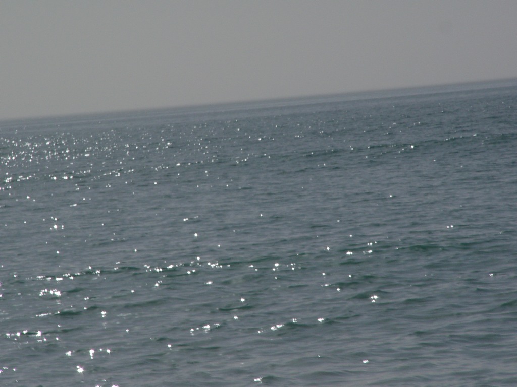 dsc04592.jpg