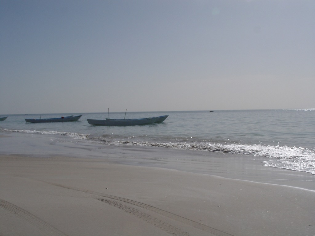 dsc04602.jpg