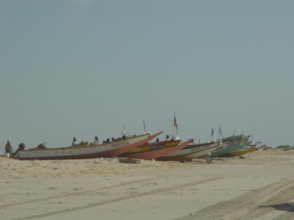 dsc04605.jpg