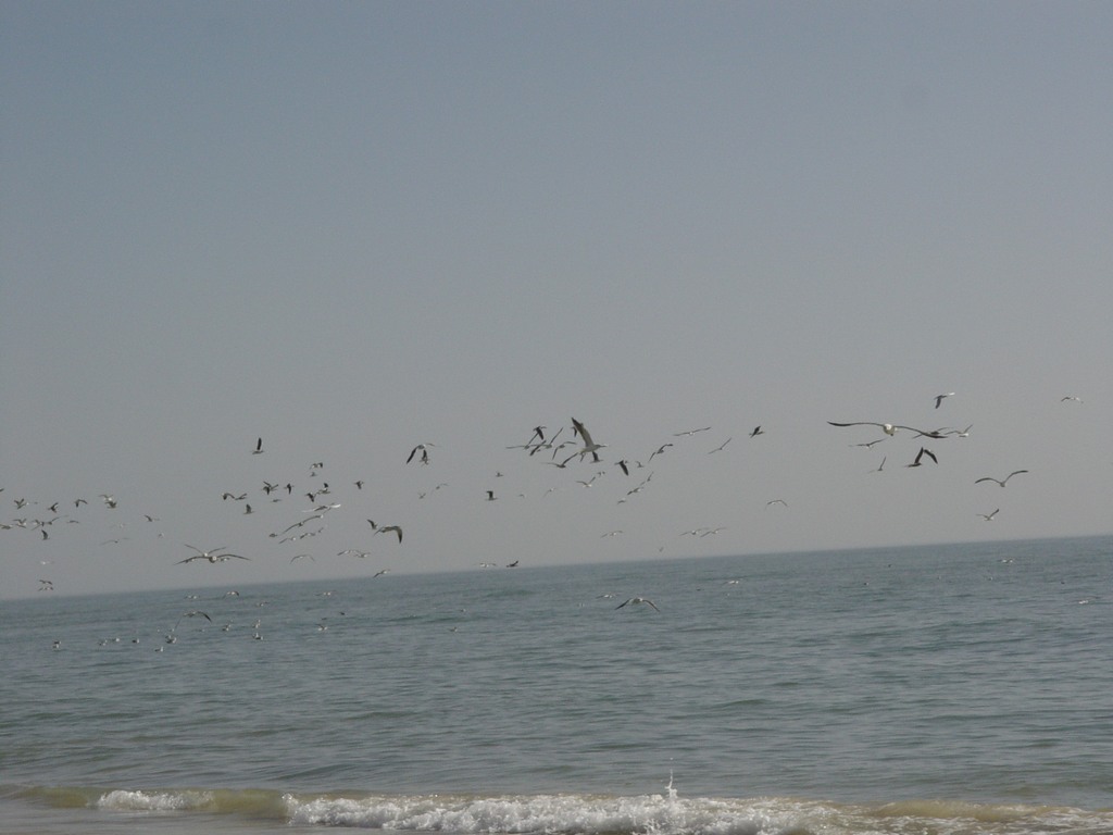 dsc04611.jpg