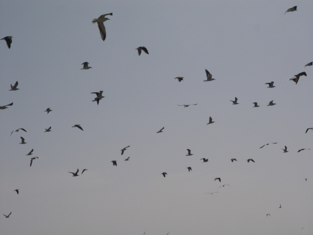 dsc04614.jpg