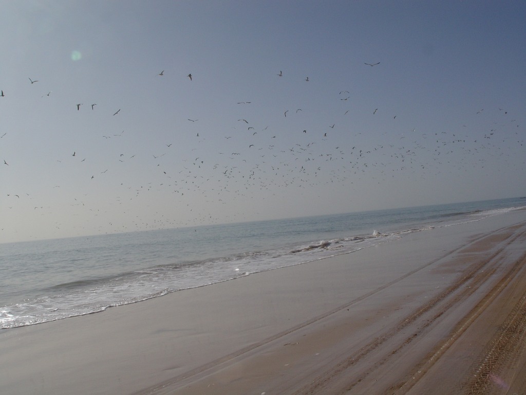 dsc04624.jpg