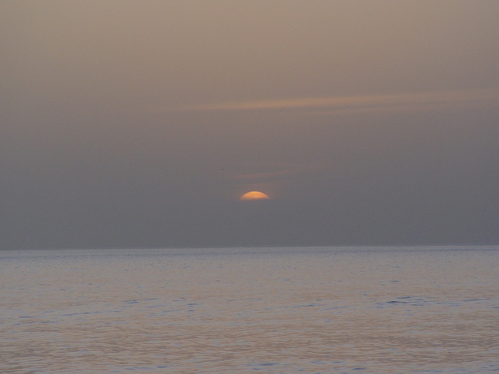 dsc04657.jpg